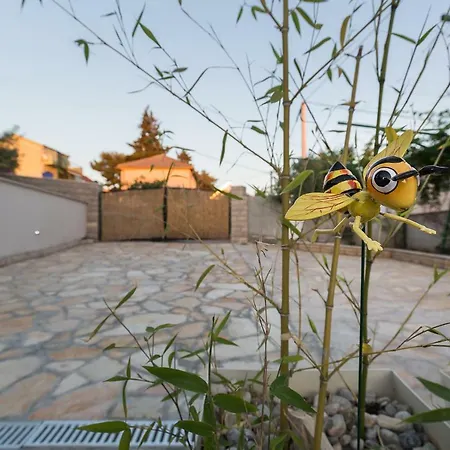Apartment Nedo Sveti Filip i Jakov Exteriér fotografie
